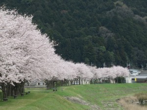 金屋橋