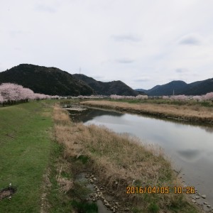 金屋橋 (2)