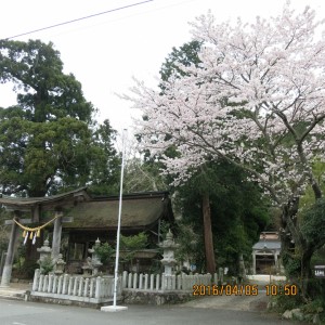 高座神社１